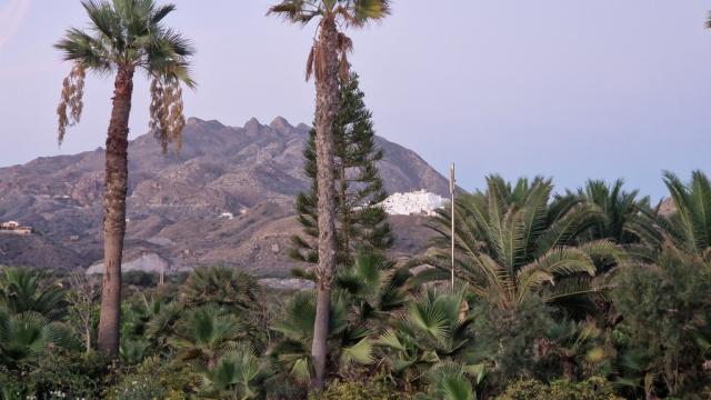20241012_080015.JPG