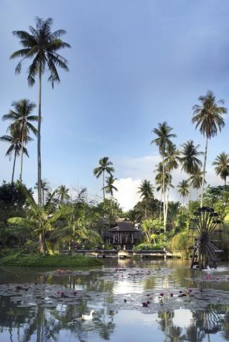 Anantara Mai Khao Phuket 1 (8)
