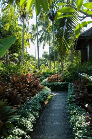 Anantara Mai Khao Phuket 2 (4)