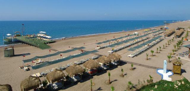 Delphin-Diva-2014-beach