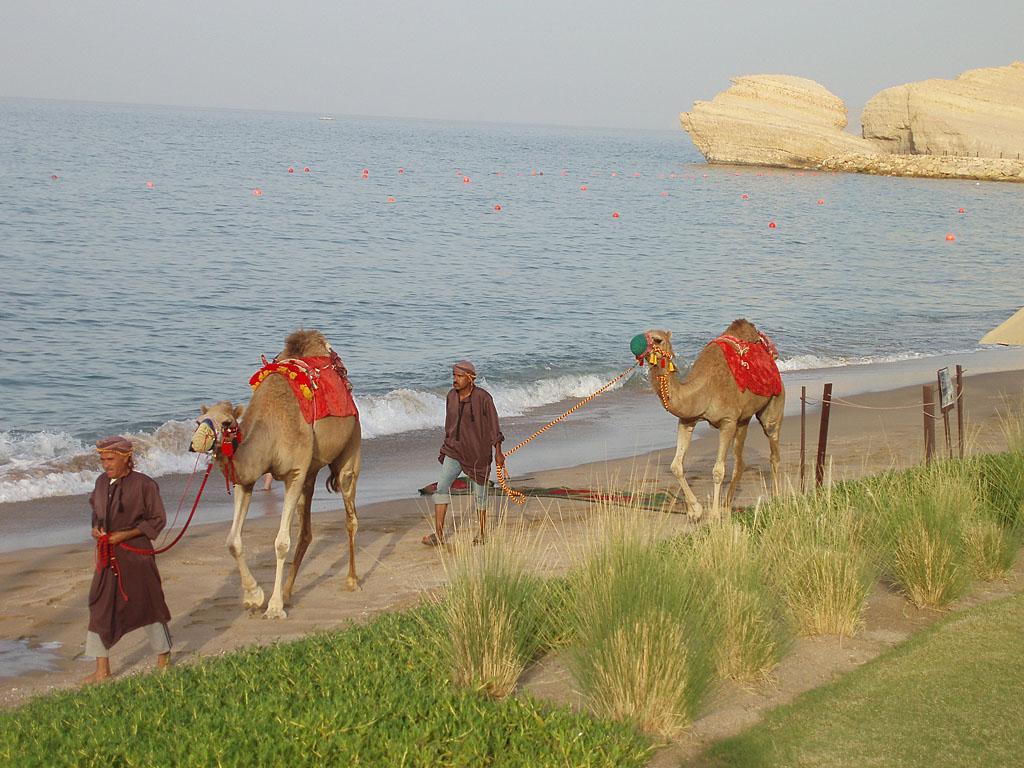 Shangri-la Barr Al Jissah ext (7a) (5)