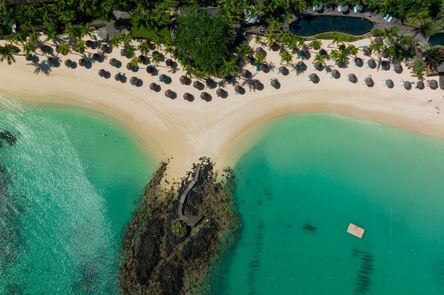 Royal Palm Beachcomber 1 (10)