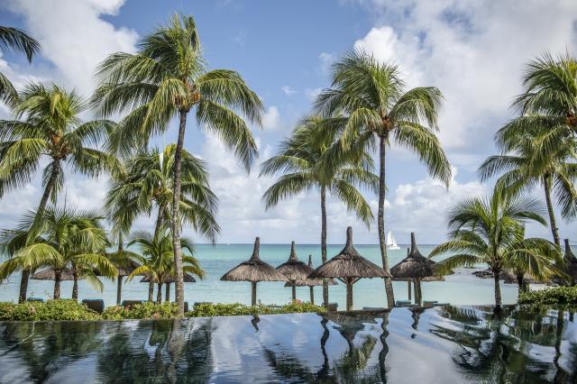 Royal Palm Beachcomber 3 (7)