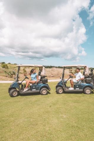 Royal Palm Beachcomber 4 (5)