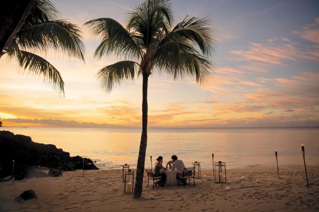 Royal Palm Beachcomber 8 (8)