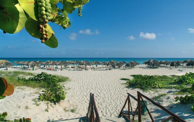 Barcelo solymar (12)