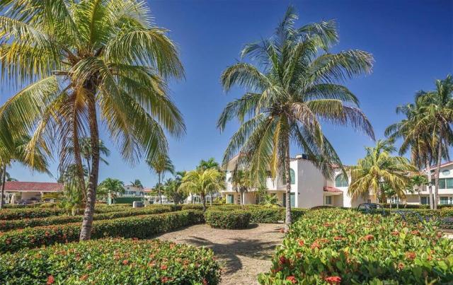 Barcelo solymar (5)