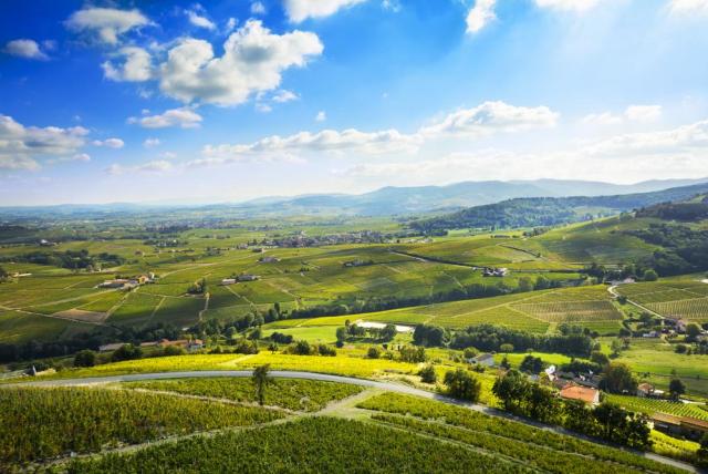 Beaujolais-shutterstock_394