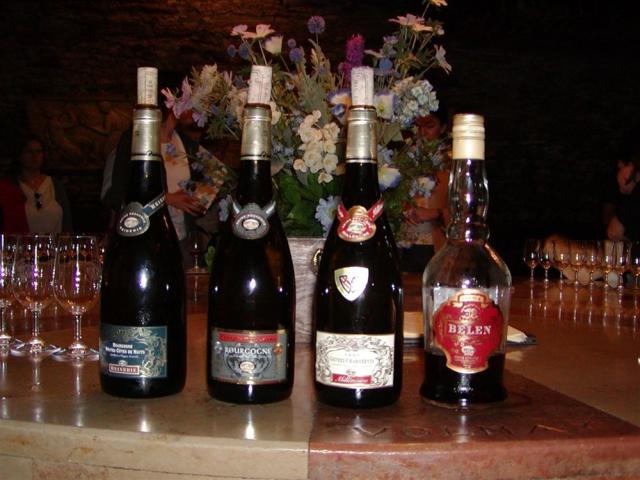 Burgundsko burgundské.JPG