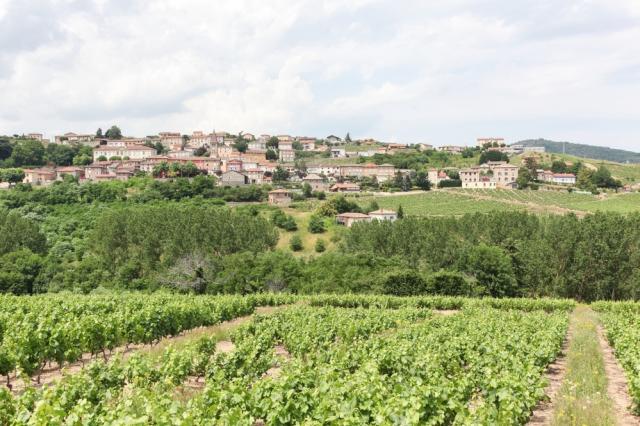 Vaux en Beaujolais-shutterstock