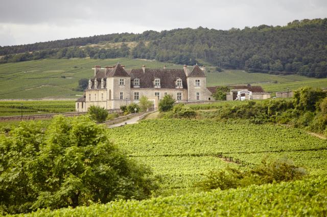 Clos Veugeot-shutterstock_6