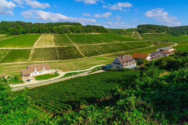Chablis-shutterstock_726940531