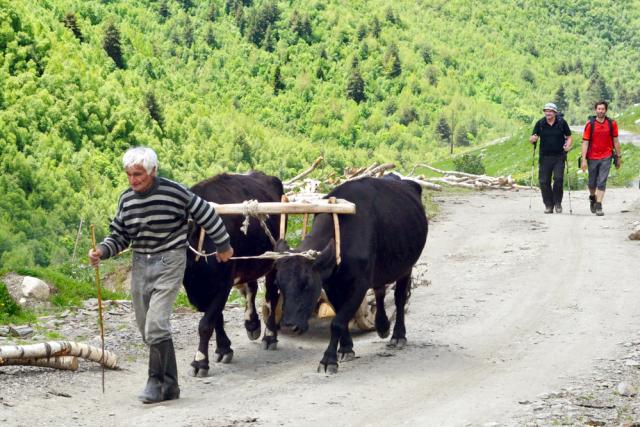 Svan people and tourists.JPG