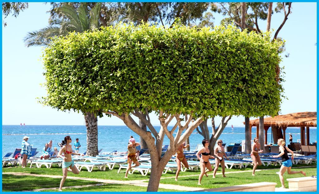 poseidonia-limassol (17)