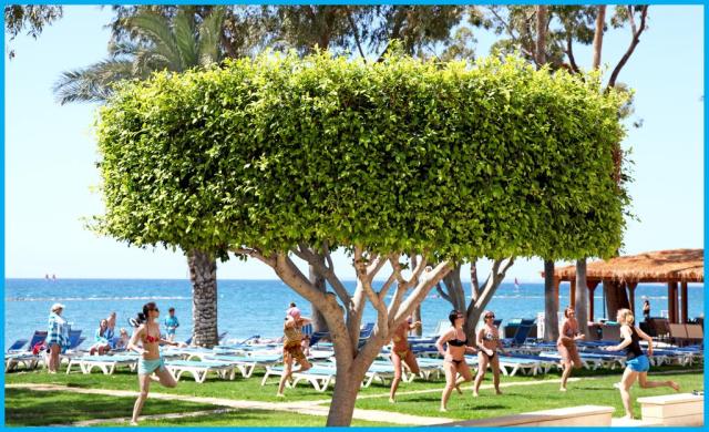 poseidonia-limassol (17)