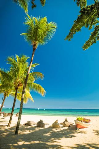 beach7