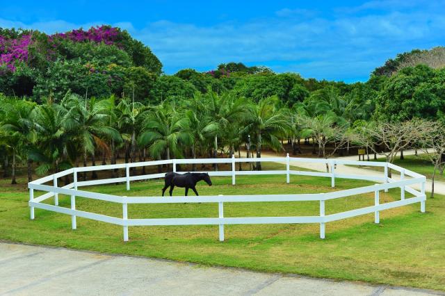 Green Paddock