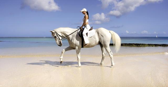 Horse riding