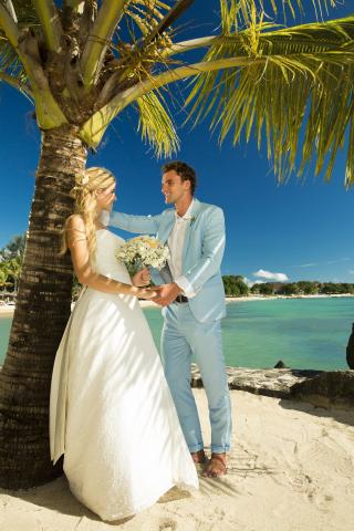Wedding couple palmtree