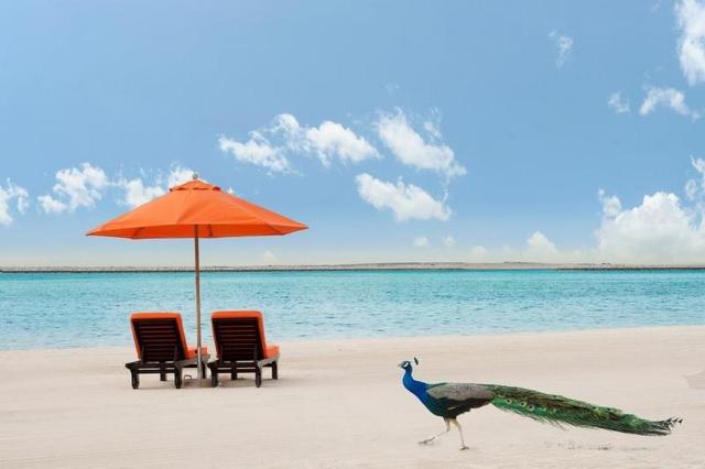 JA Beach Hotel 4 (2)