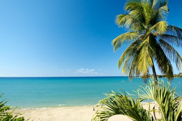 Starfish Tobago Resort 2 (2)