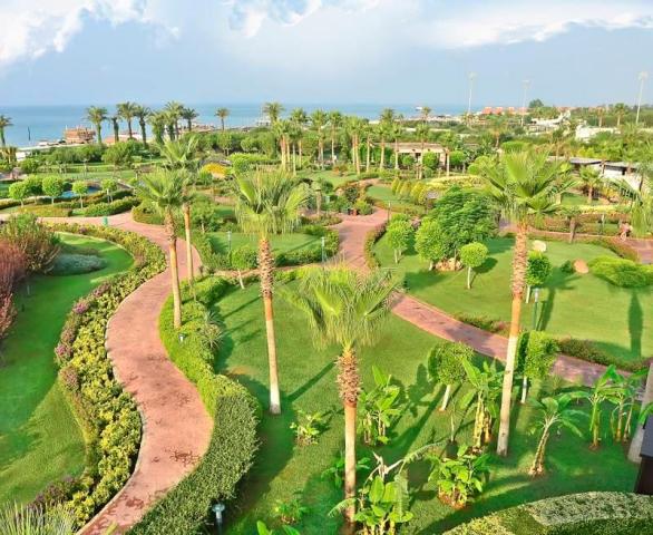 Miracle-resort-garden-1515