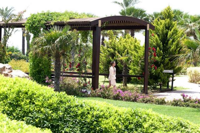 Miracle-2014-garden-2.JPG