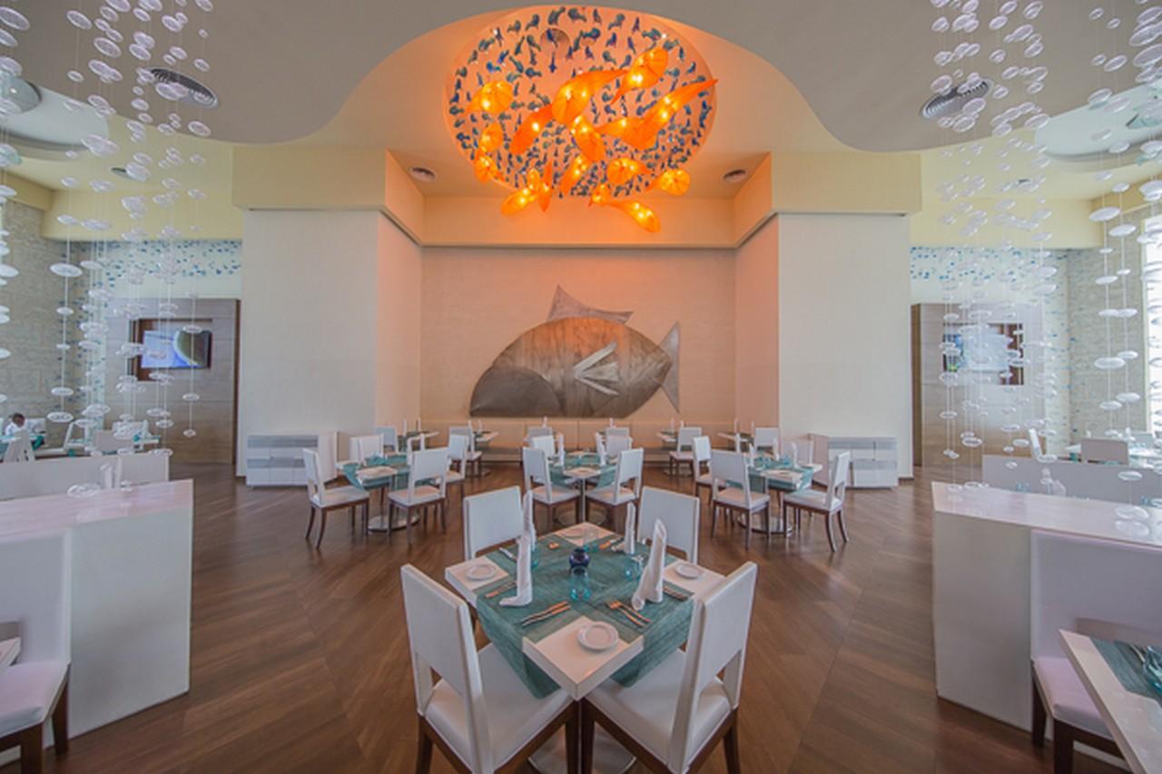 Royalton Splash Punta Cana 6 (13)