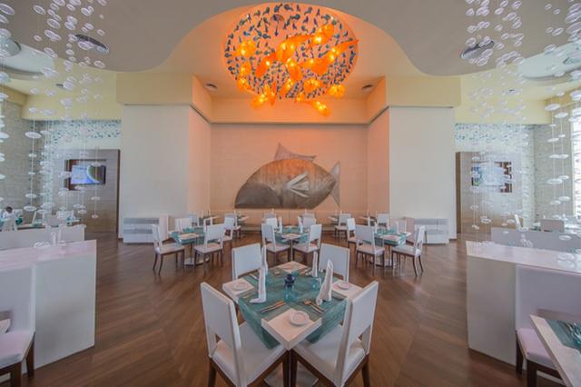 Royalton Splash Punta Cana 6 (13)