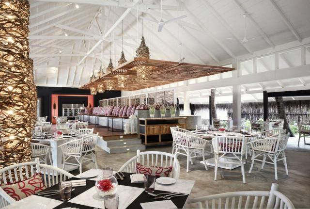 Coral Reef food1 (4)
