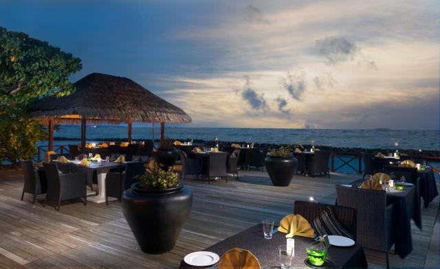 Coral Reef food1 (7)