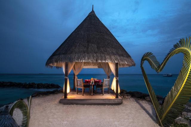 Coral Reef food1 (8)