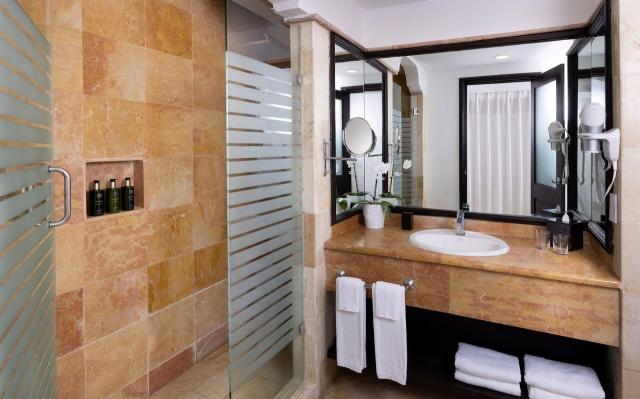 Melia Caribe Beach (40)