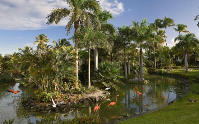 Melia Caribe Beach (1)