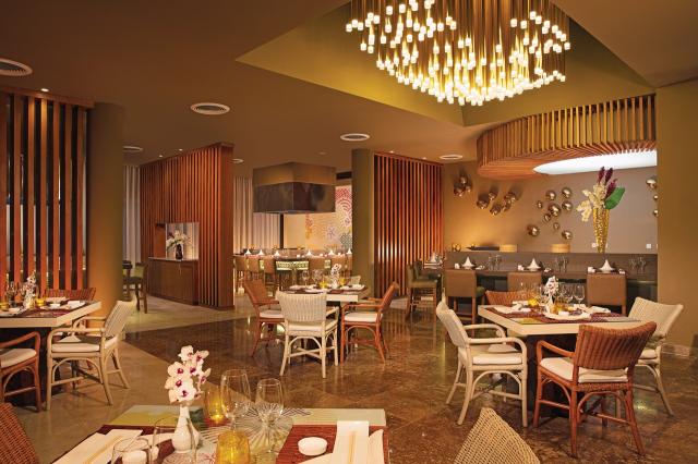 Dreams Royal Beach Punta Cana 4 (6)