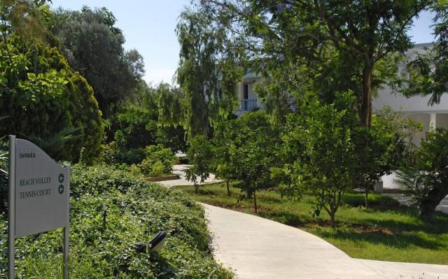 Samara1 (16)