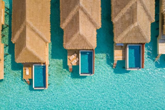 Kudafushi ext11 (1)
