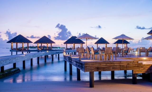 Kudafushi ext11 (2)