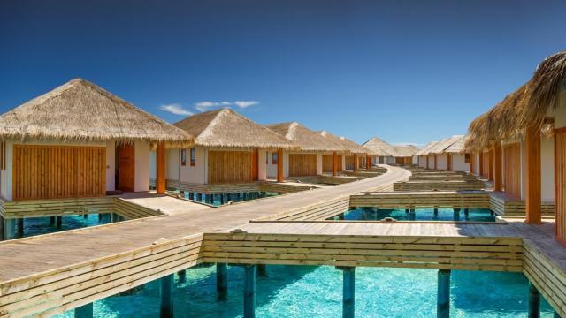 Kudafushi ext11 (4)