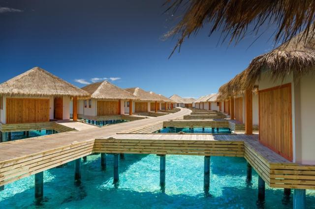 Kudafushi ext11 (5)