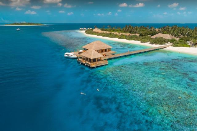Kudafushi ext12 (2)