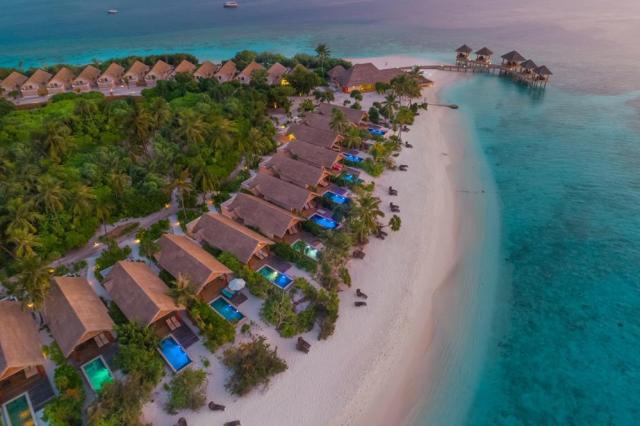 Kudafushi1