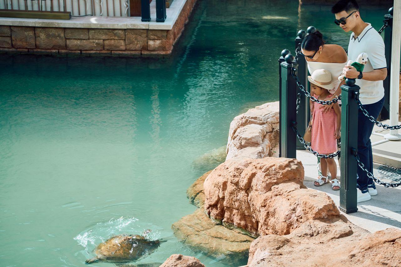 Jumeirah Al Naseem 3 (5)