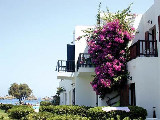 geraniotis ext 1 (3)