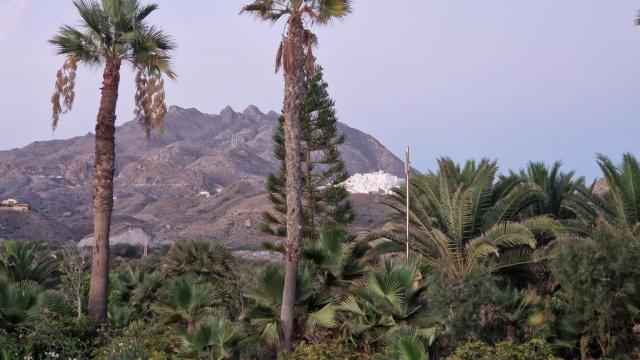 20241012_080015.JPG