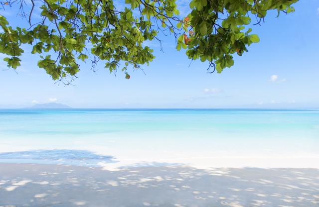 beach (1)