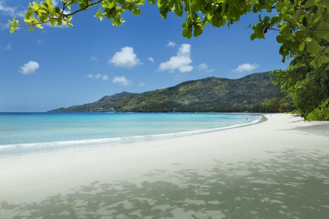beach (7)