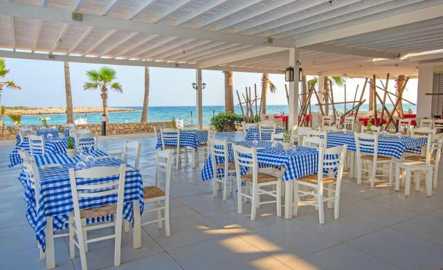 the dome beach main (2)
