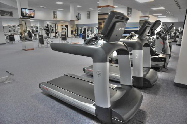 adams fac 5 (2)