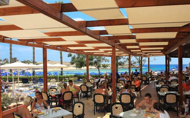 pavlo napa restaurants (5)